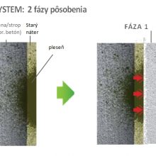 Ako odstrániť pleseň na stene bez nutnosti zoškrabania: Bioni Systém